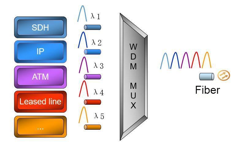 WDM