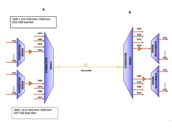 Können EDFA- und DCM-Module in das CWDM-System integriert werden?